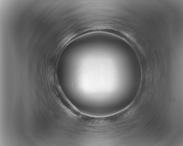 X0000053011273200507151938