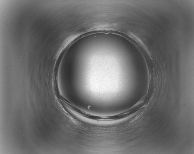 X0000053011277200507151938