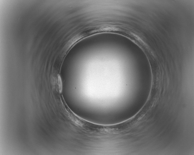 X0000053011281200507151938