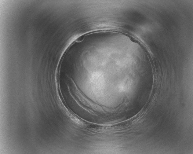 X0000053011291200507151938