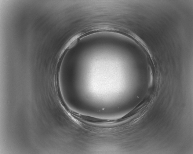 X0000053011293200507151938