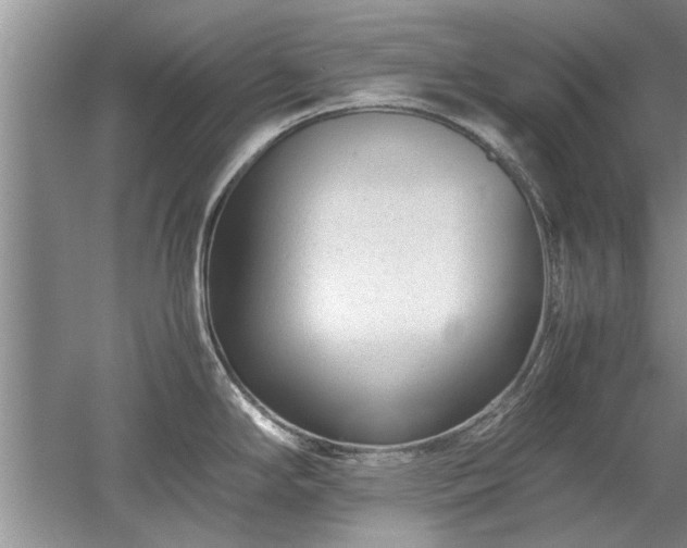 X0000053011294200507151938