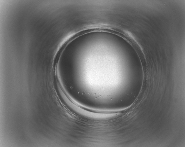 X0000053011320200507151937