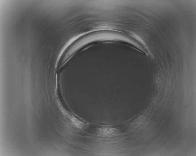 X0000053011323200507151937