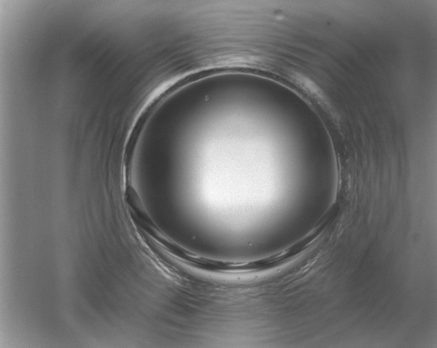 X0000053011324200507151937