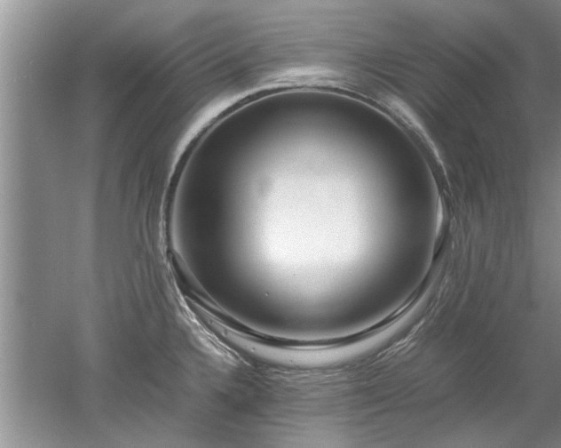 X0000053011336200507151937