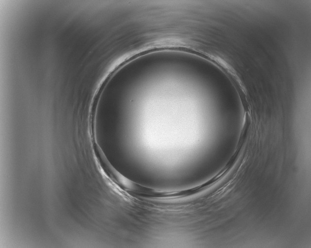 X0000053011342200507151938