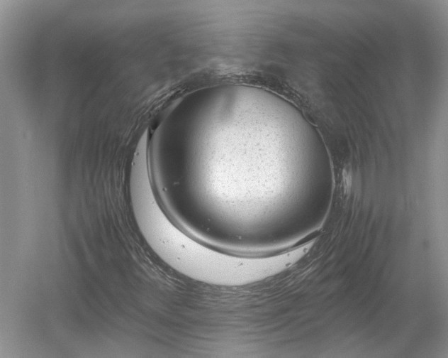 X0000053011348200507151937