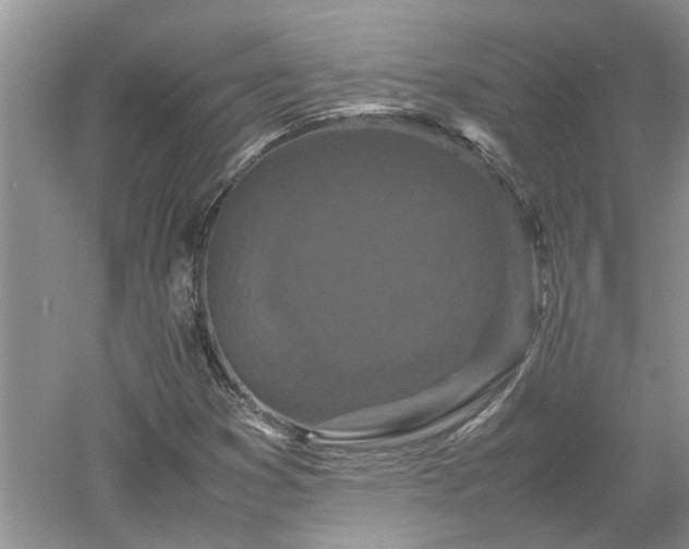X0000053011353200507151937