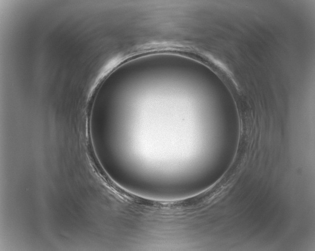 X0000053011365200507151936