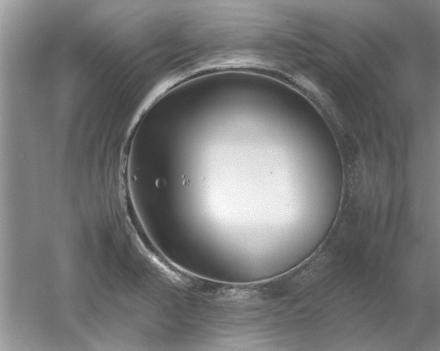 X0000053011374200507151936