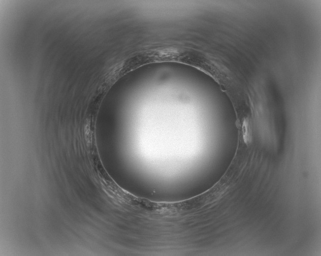 X0000053011395200507151935