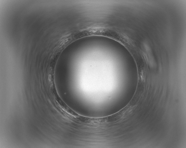 X0000053011396200507151935