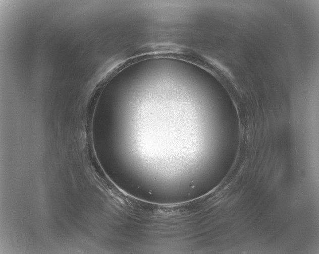 X0000053011407200507151935