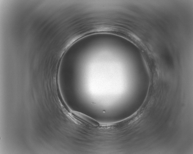 X0000053011417200507151936