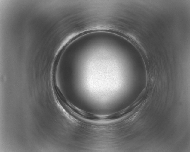X0000053011422200507151936