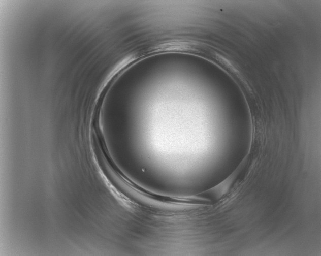 X0000053011426200507151936