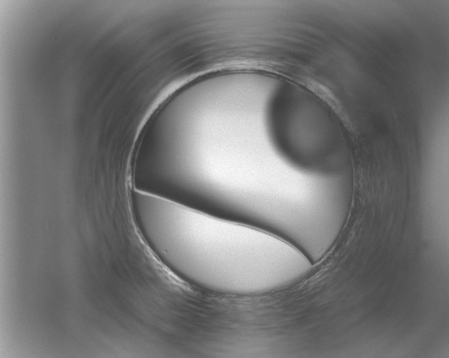 X0000053011428200507151936