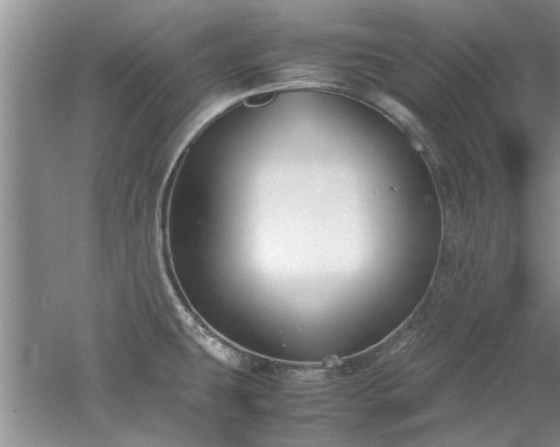 X0000053011431200507151936