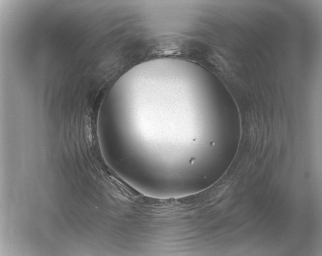 X0000053011442200507151935