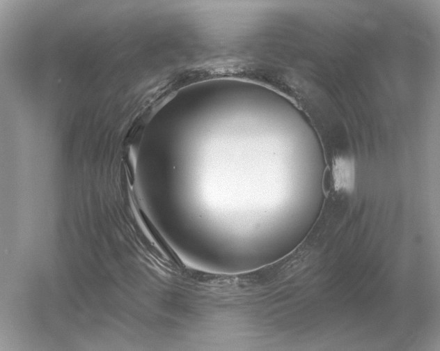 X0000053011444200507151935
