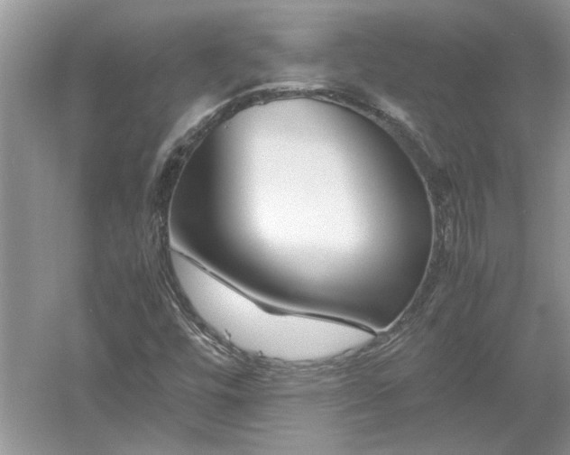 X0000053011448200507151935