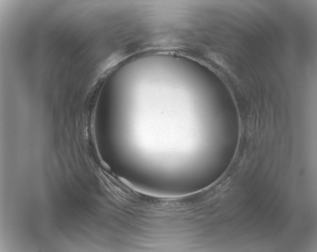 X0000053011451200507151935