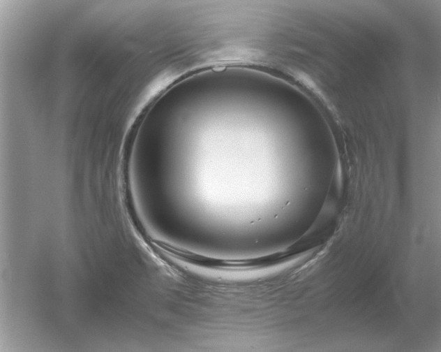 X0000053011469200507151935