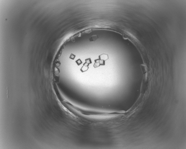X0000053011471200507151935