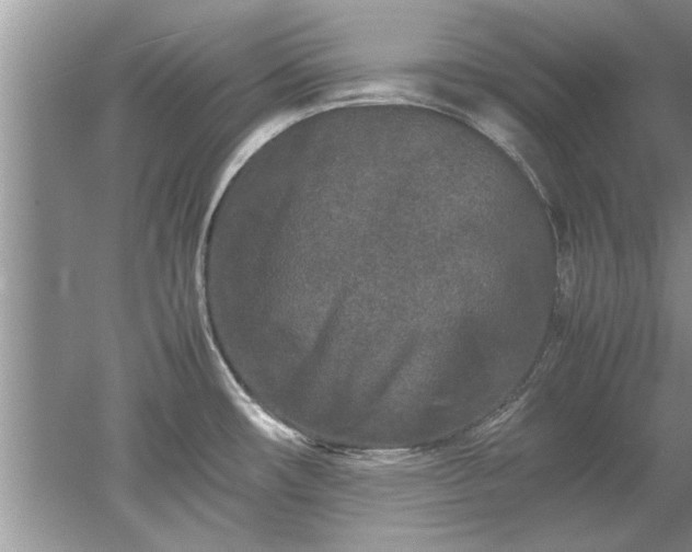 X0000053011482200507151934