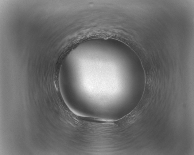 X0000053011490200507151934