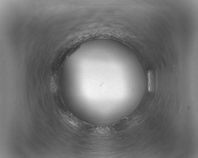 X0000053011491200507151934