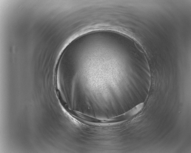 X0000053011527200507151934