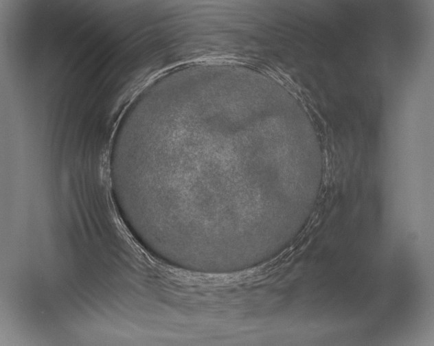 X0000053010002200507221325