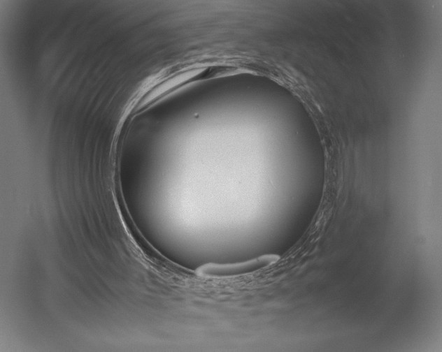 X0000053010003200507221325