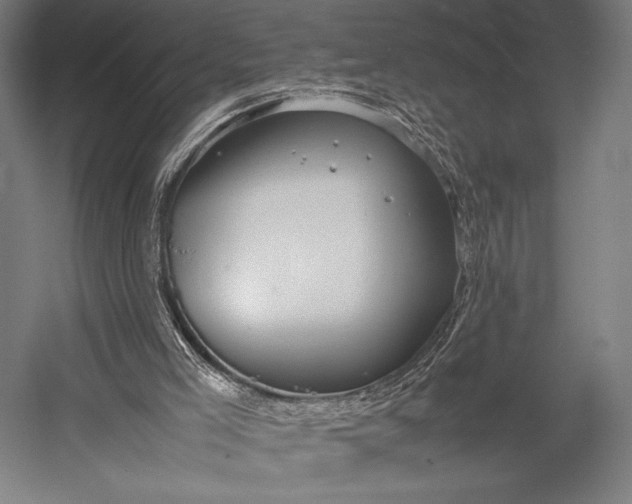 X0000053010005200507221325