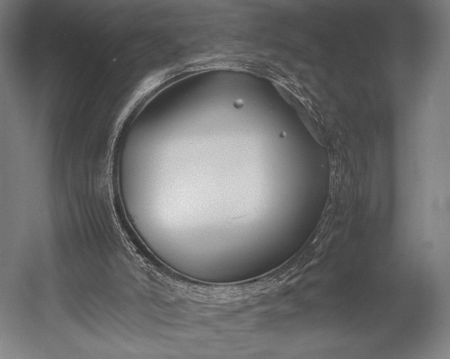 X0000053010006200507221325