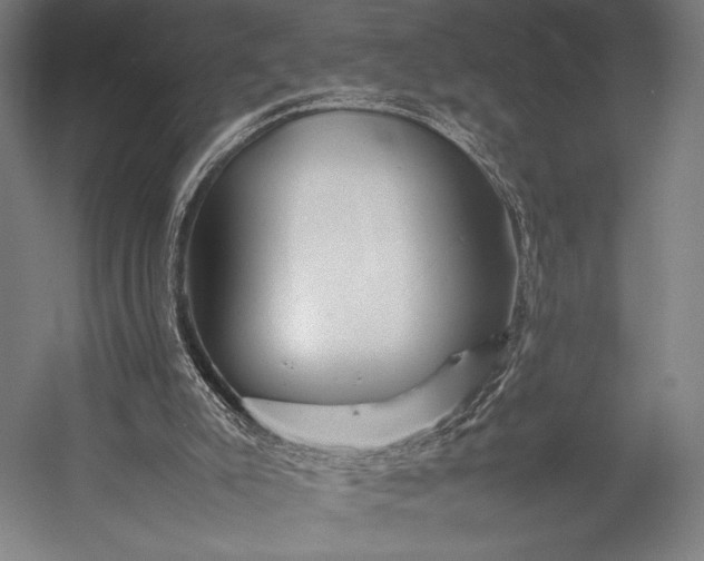 X0000053010007200507221325