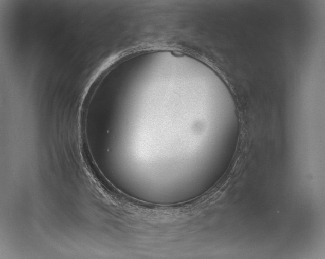 X0000053010008200507221325