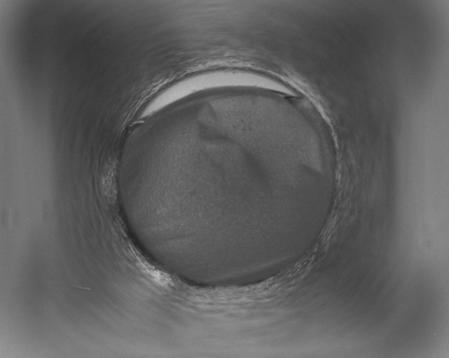 X0000053010009200507221325