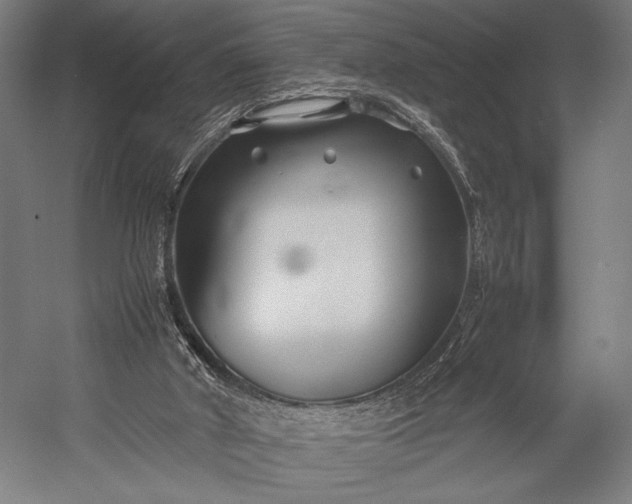 X0000053010010200507221325