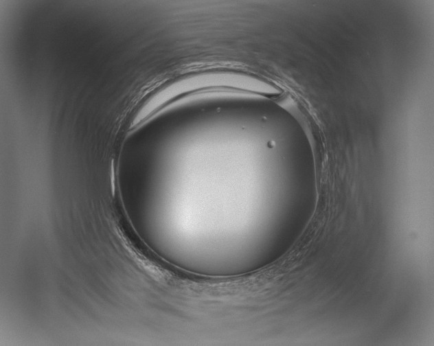 X0000053010013200507221325