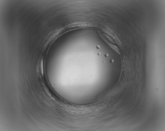 X0000053010014200507221325