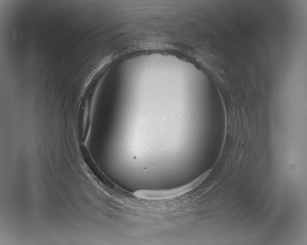 X0000053010015200507221325