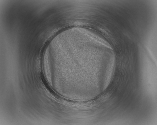 X0000053010016200507221325