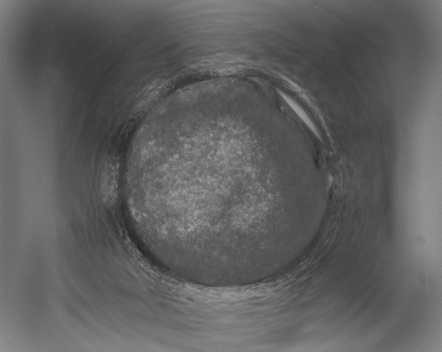 X0000053010018200507221325