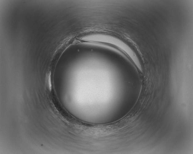 X0000053010020200507221325