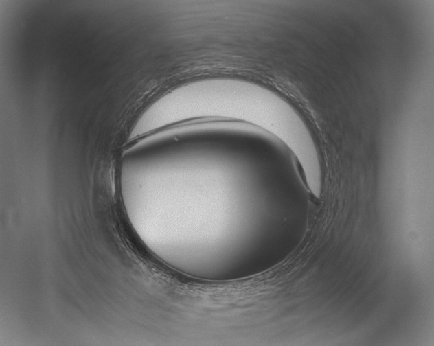 X0000053010021200507221325