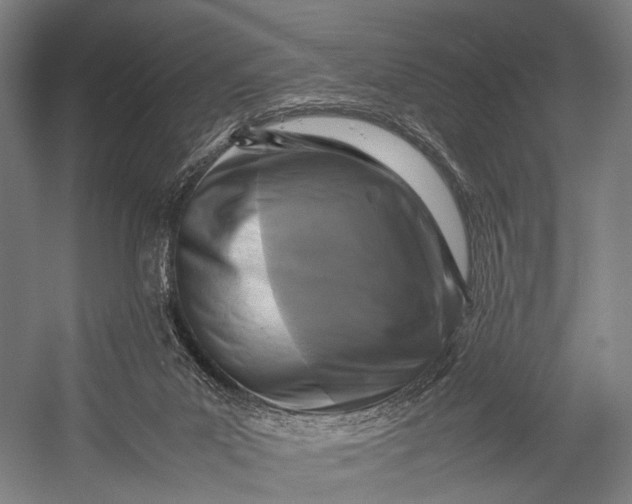 X0000053010023200507221325