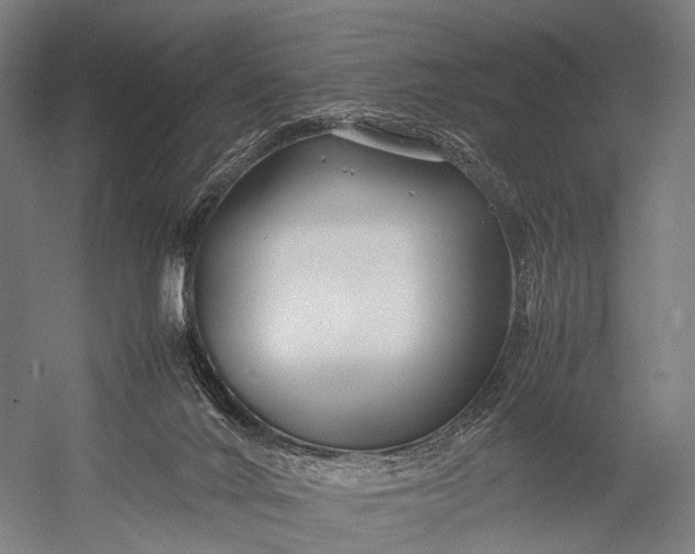 X0000053010024200507221325